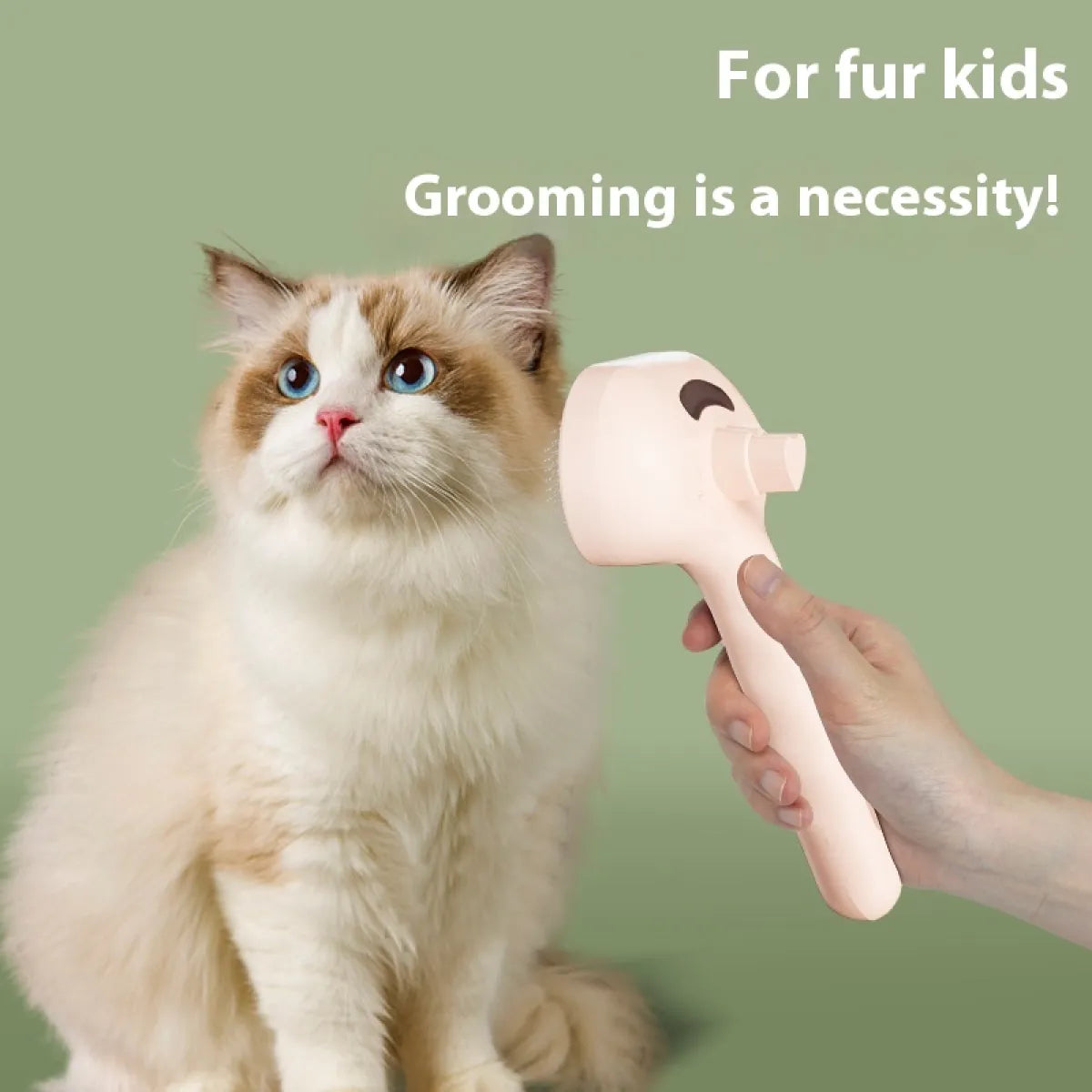 Pet Spray Hair Removal Comb